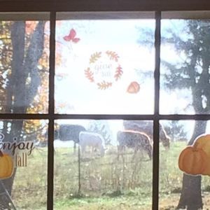 Meet your Posher, Tonya